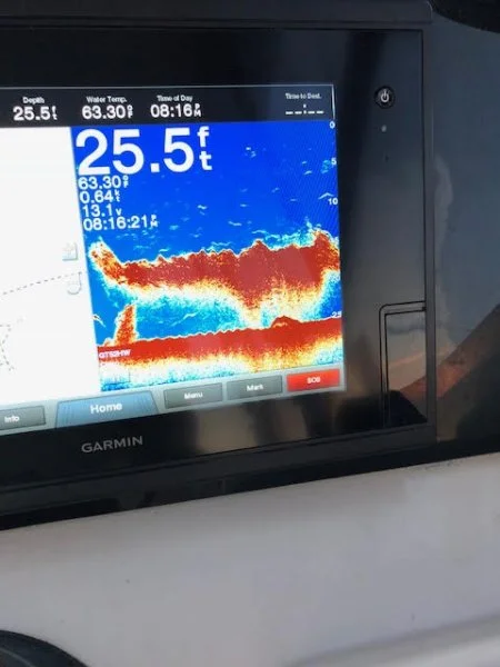 Bunker on screen.jpg