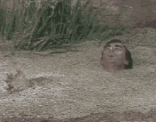 C3FB3044-8E68-421E-A5A2-B86C496DA6A8.gif