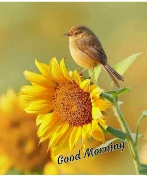 C433F9F7-8DF1-4B3C-8CF7-B27CE9AC9FEE.webp