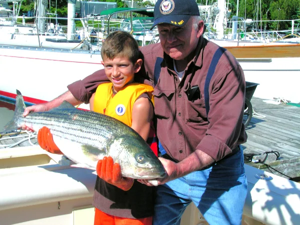 captneilboybass2009.webp