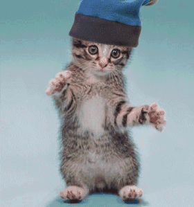 cat-kitten-with-silly-hat-dancing-animated-1-DHD.gif