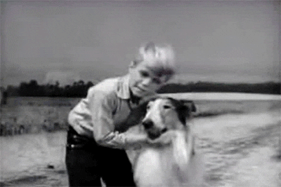 CC5CD64C-4B6F-419D-81D3-237B2B85821D.gif