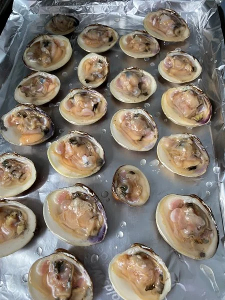 clam1.webp