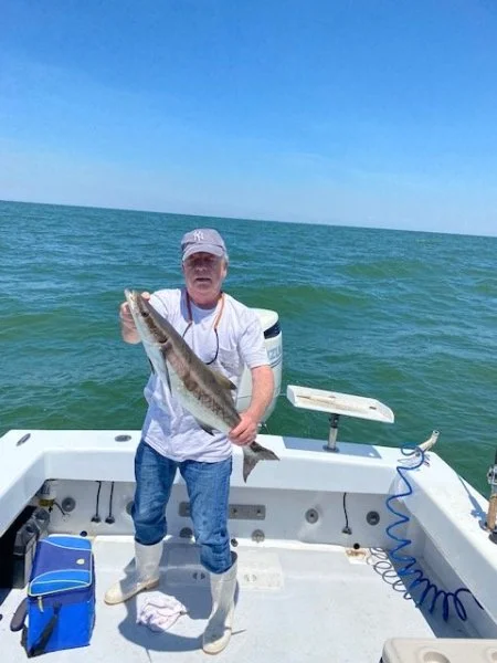 Cobia June 2022.webp