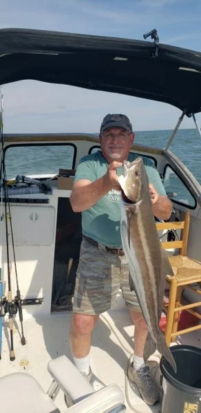 Cobia3.jpg