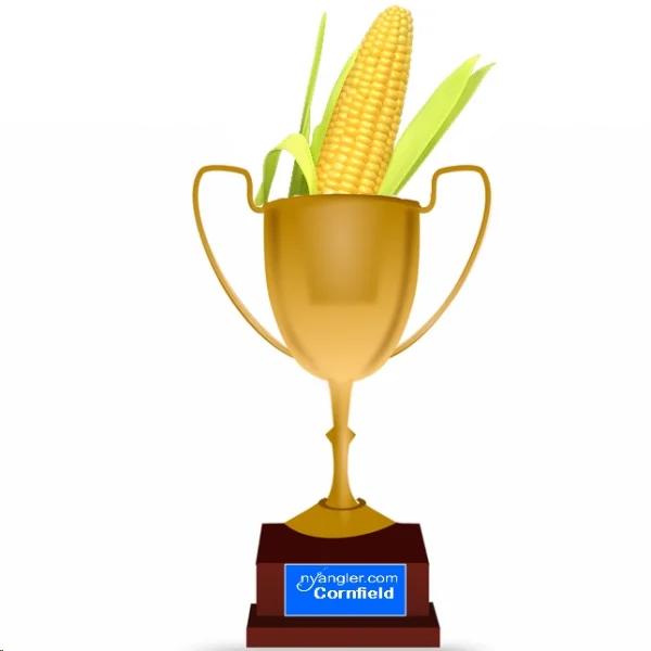 cornfield.webp
