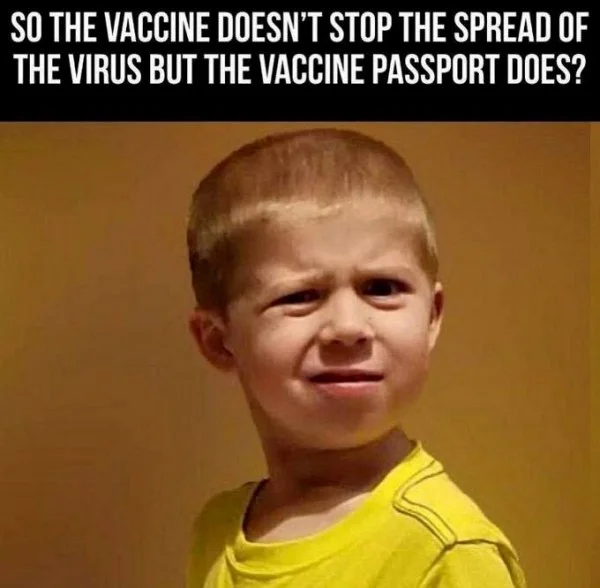 D0BA5EE3-9E4D-4762-BABF-1074167222FA.webp