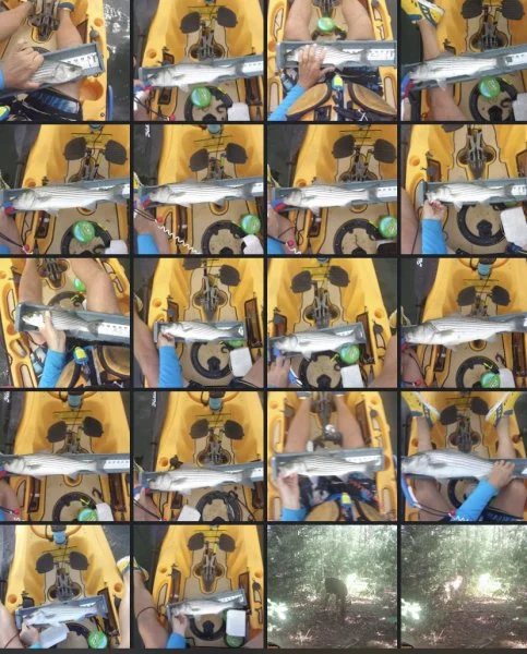 D5916038-6224-4253-9DF5-44C9645B5052.webp
