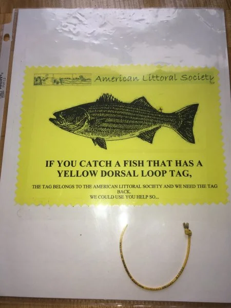 D6808FCE-35CE-46CA-A24E-22354B77B8BD.jpeg