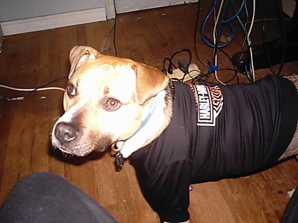 DCFN0034.JPG
