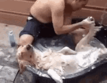 DFC2B5F2-5F9B-4156-9E76-61D01B7C24ED.gif