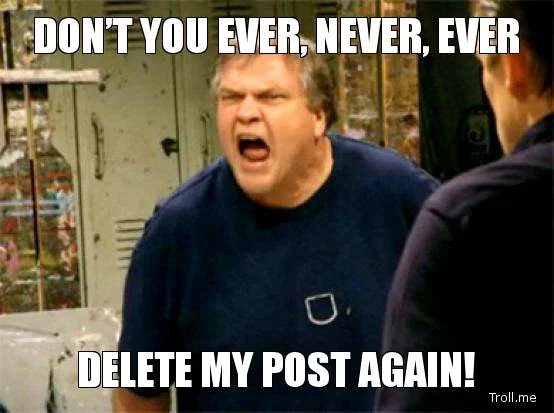 dont-you-ever-never-ever-delete-my-post-again.webp