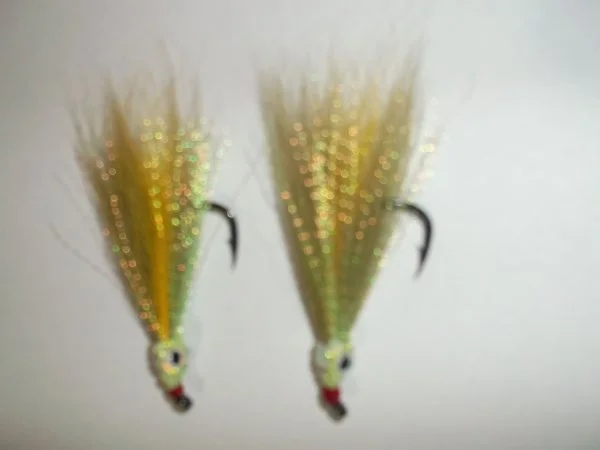 DSCF0653.webp