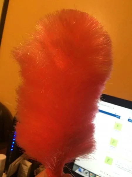 duster.webp