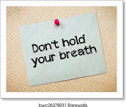 ECD31E62-C2B0-4412-BB21-2DEC0956AC99.webp