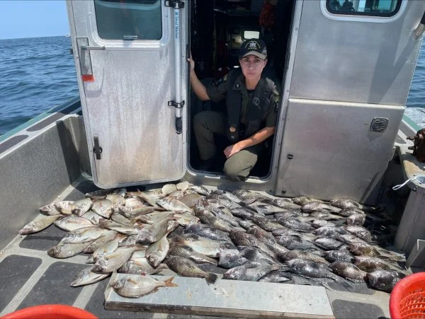 ECO DeVito sorts through and measures 100 fish caught illegally in federal waters.webp