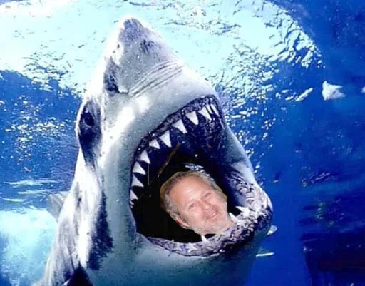 ed shark.webp