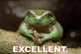 Excellent Frog.webp