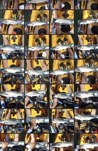 F3B78888-A2FC-49A8-8381-CE3D7AE9DB71.webp