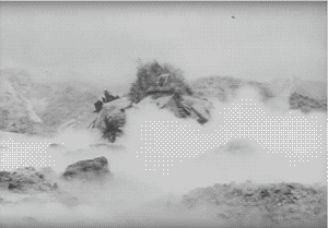 FAD18F69-721E-43F0-903F-10E05581E245.gif