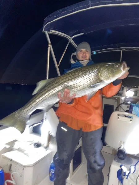 fish pic.webp