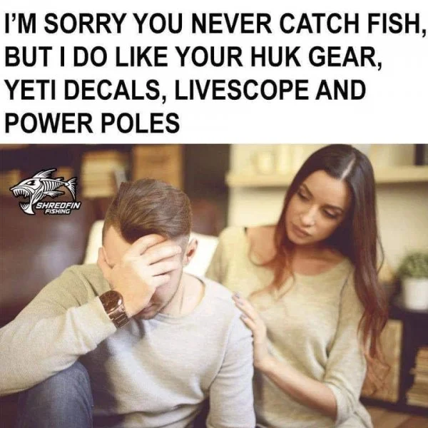 fish.webp