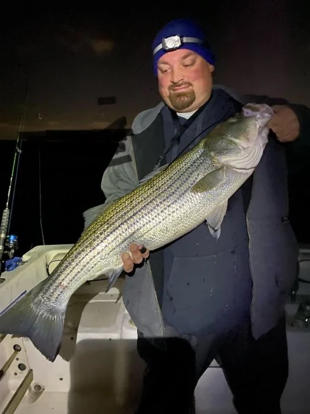 fish.webp