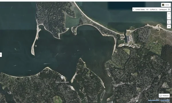 fleets cove .webp