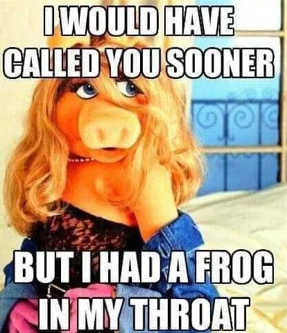 frog.jpg.83cf51a44b435b81291b5aa34db13b14.webp