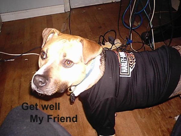 get well.jpg