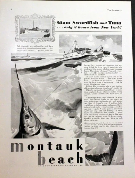 giant swordfish ad.webp