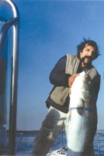 Billy "The Greek" Legakis | nyangler.com