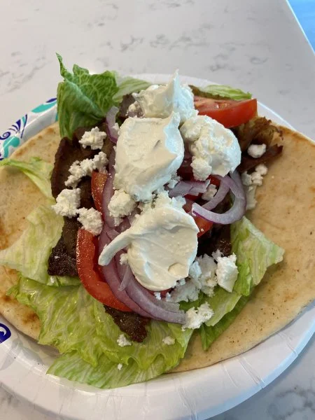 gyro1.webp