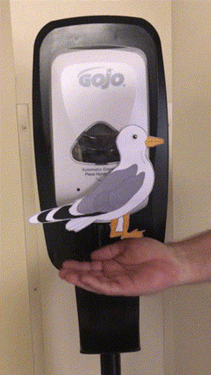 handsoap.gif.9e12d3a645fd0ab8b6745e9660506ef8.gif