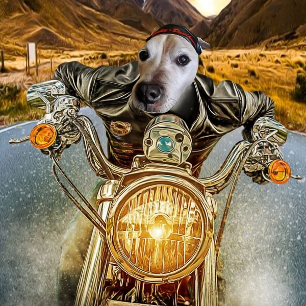 harleyriding.webp