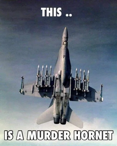 Hornet.webp