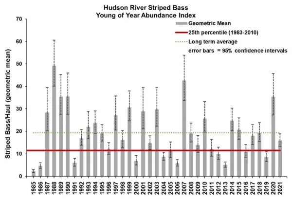 hudson YOY.webp