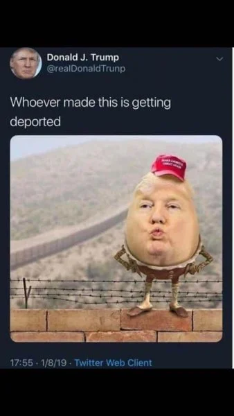 humpty donald.webp
