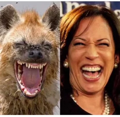 Hyena… and Kamala Harris.  rtotallylookslike.jpeg