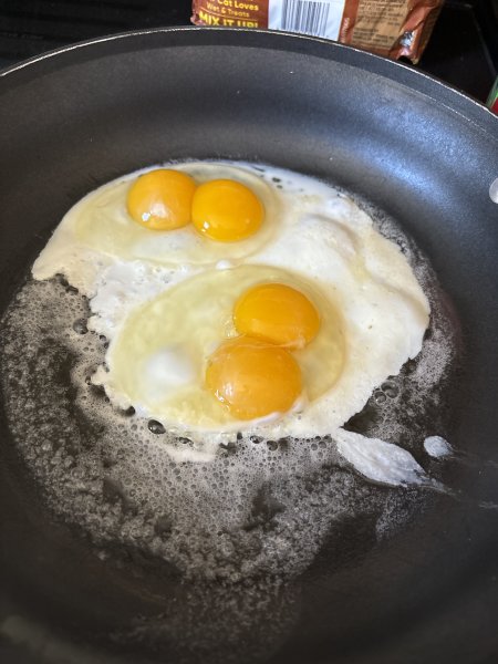 image.jpg