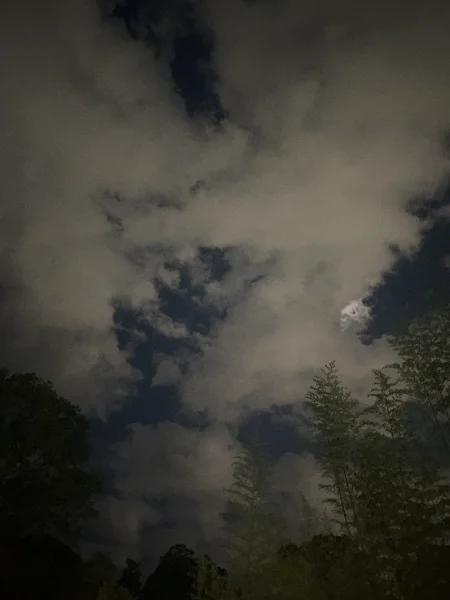 image.webp