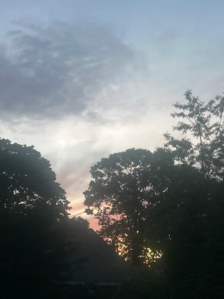 image.webp