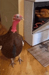 image000000.gif