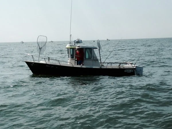 image1.webp