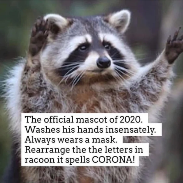 image_15e066ccea4676c624f20ecc6023f1114ee5dce0.webp