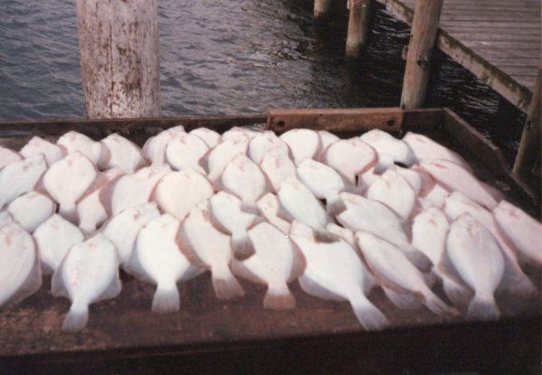 Image_20241218_0001.jpg