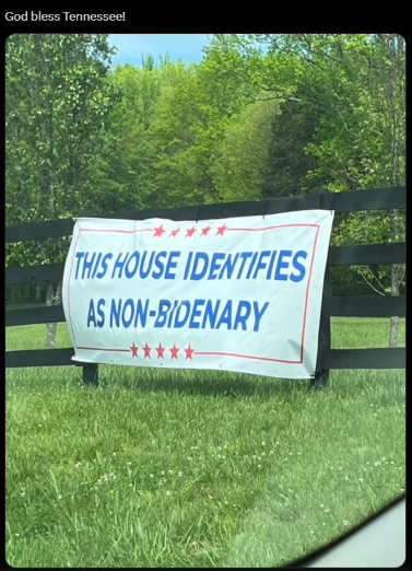 imagebmp.jpeg