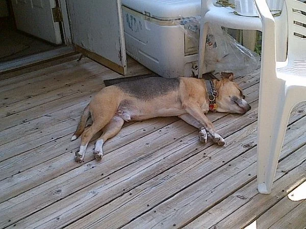 IMG-20130820-00645.webp
