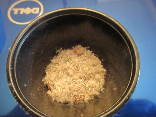 IMG_0323[1].JPG