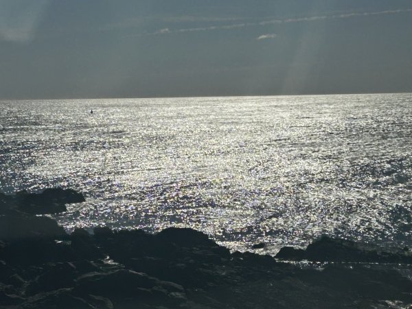 IMG_0796.jpeg